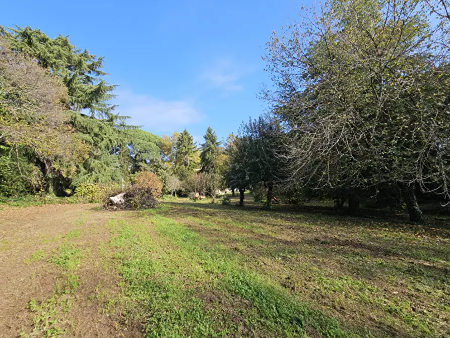 Immagine 82 di Villa in vendita  in Località il Cappuccino a Capranica