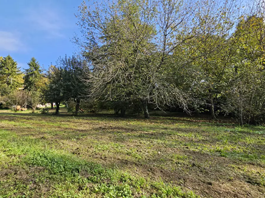 Immagine 83 di Villa in vendita  in Località il Cappuccino a Capranica