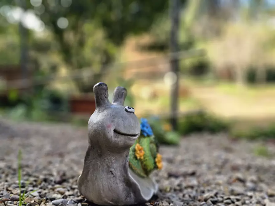 Immagine 96 di Villa in vendita  in Località il Cappuccino a Capranica