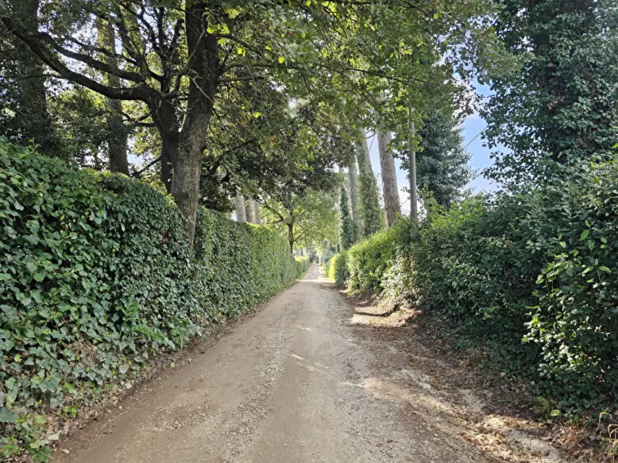 Immagine 104 di Villa in vendita  in Località il Cappuccino a Capranica