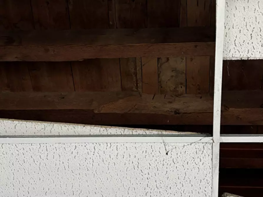 Immagine 16 di Magazzino in vendita  in Via Fossalta a Conselve