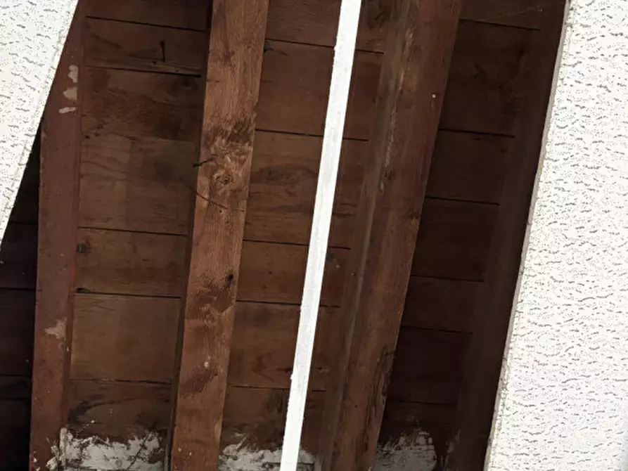 Immagine 10 di Magazzino in vendita  in Via Fossalta a Conselve