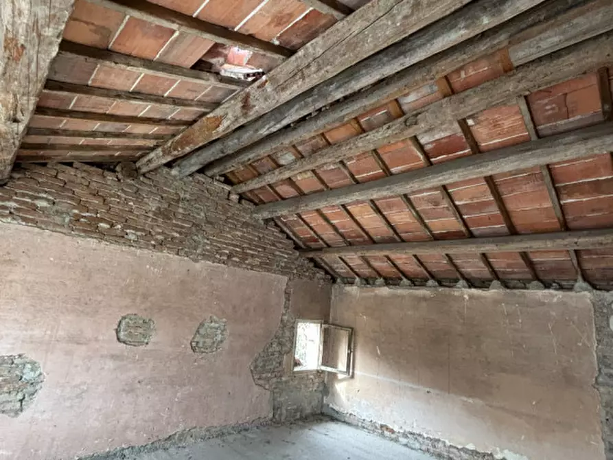 Immagine 16 di Magazzino in vendita  in Via Fossalta a Conselve