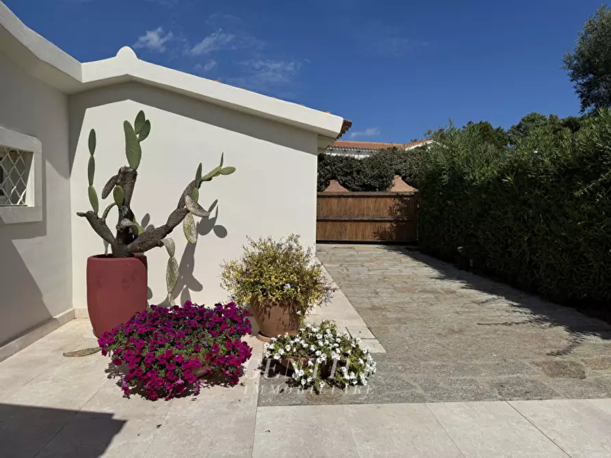 Immagine 32 di Villa in vendita  in Villaggio palma a Arzachena