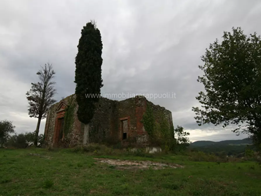 Immagine 2 di Rustico / casale in vendita  a Sinalunga