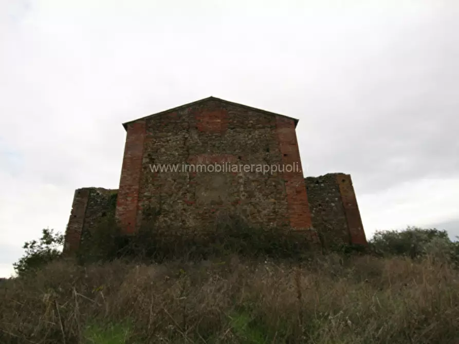 Immagine 3 di Rustico / casale in vendita  a Sinalunga