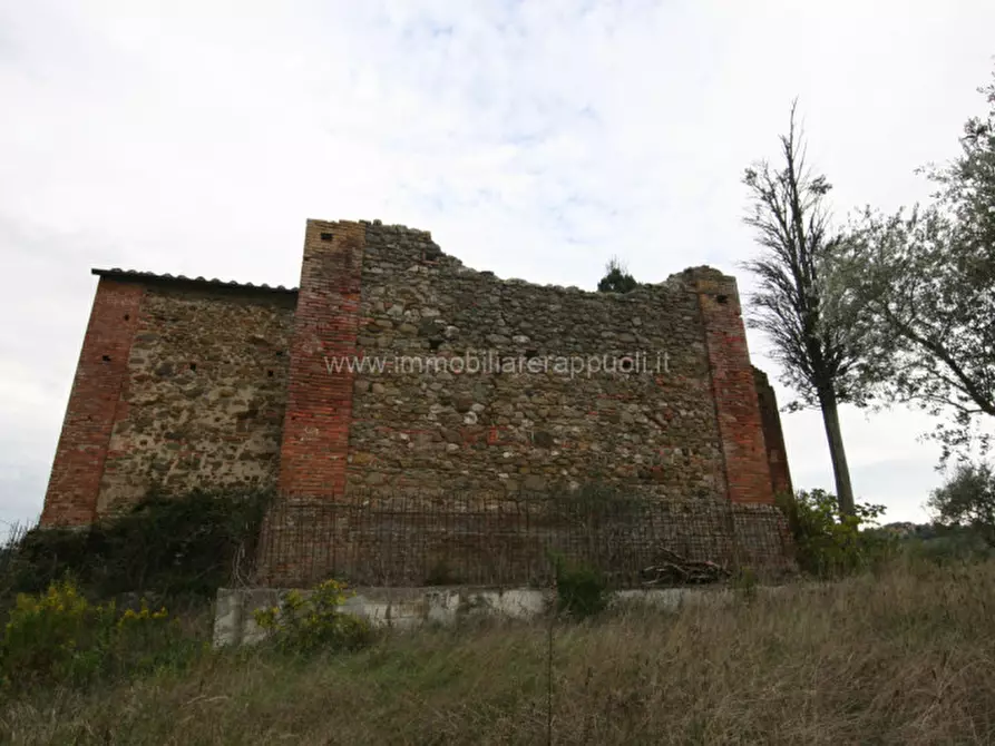 Immagine 4 di Rustico / casale in vendita  a Sinalunga