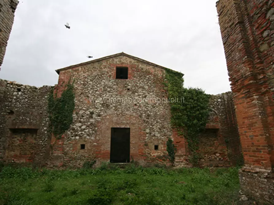 Immagine 5 di Rustico / casale in vendita  a Sinalunga