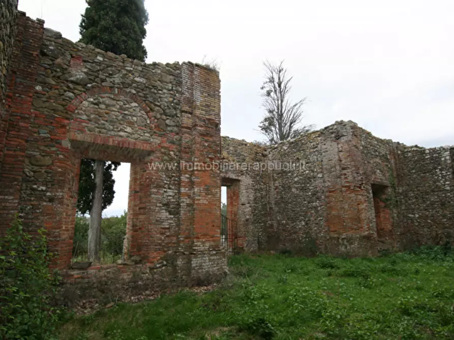 Immagine 6 di Rustico / casale in vendita  a Sinalunga