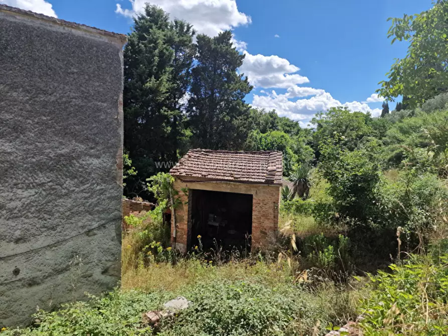 Immagine 4 di Rustico / casale in vendita  a Sinalunga