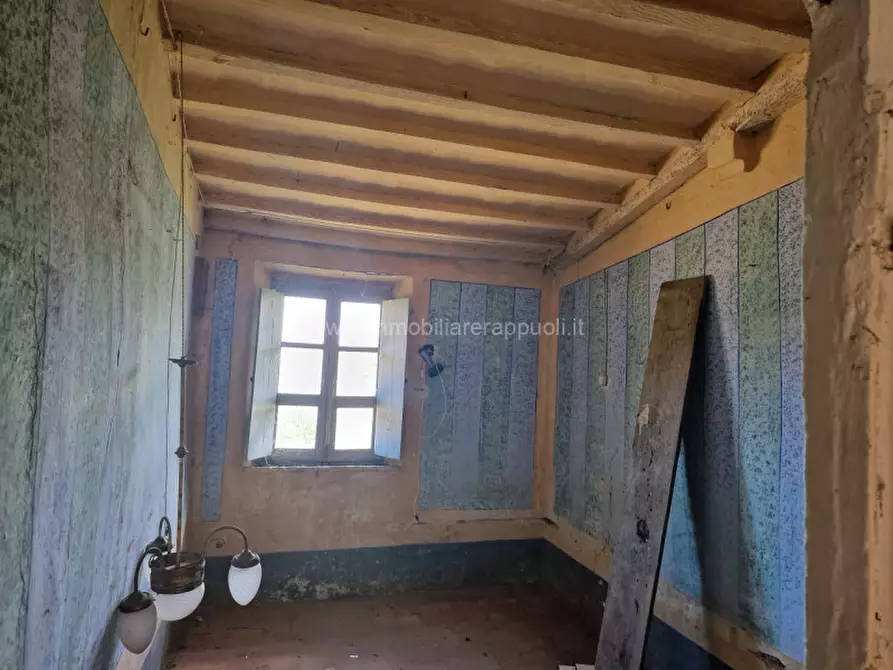 Immagine 7 di Rustico / casale in vendita  a Sinalunga