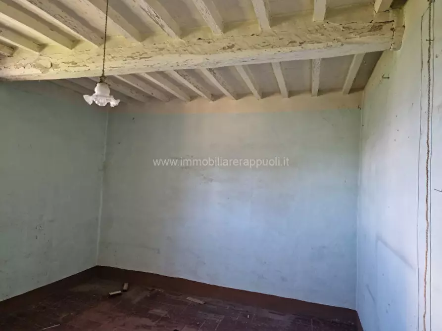 Immagine 11 di Rustico / casale in vendita  a Sinalunga