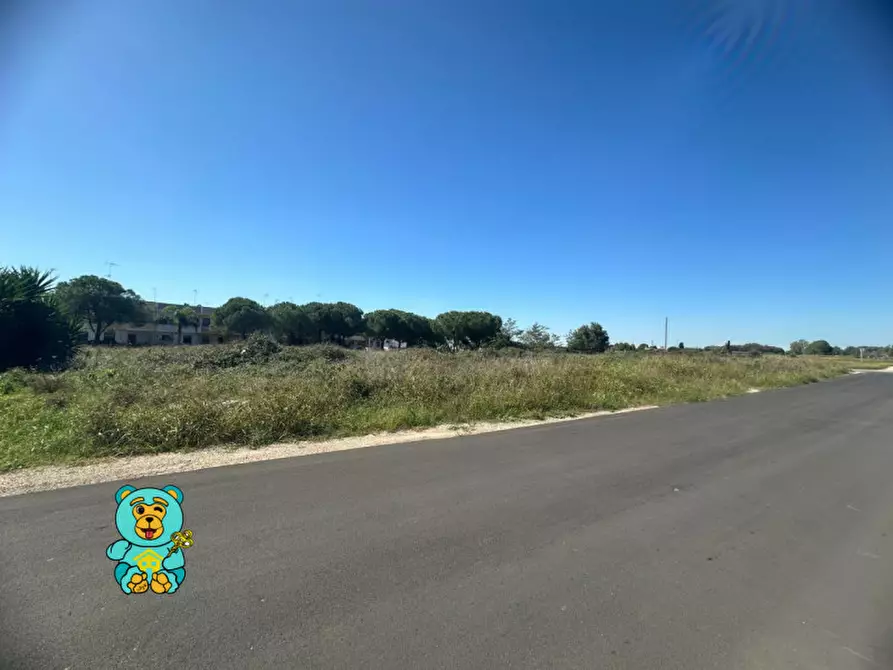 Immagine 6 di Terreno in vendita  in Via Ugo Foscolo snc a Cavallino