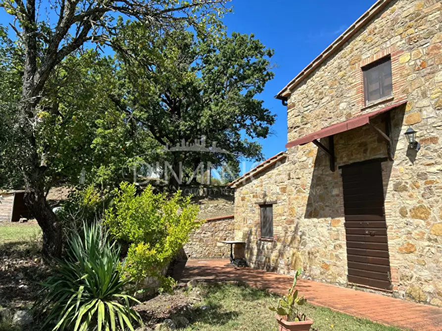 Immagine 10 di Rustico / casale in vendita  a Pomarance