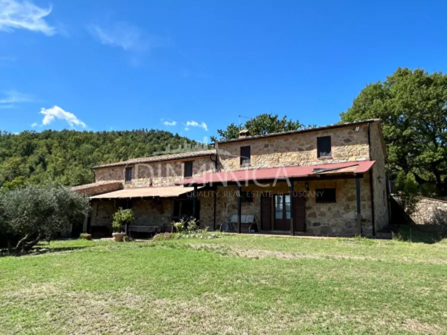 Immagine 12 di Rustico / casale in vendita  a Pomarance