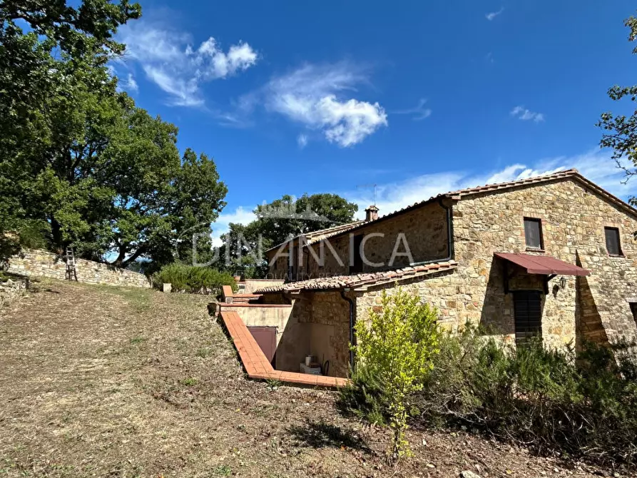 Immagine 13 di Rustico / casale in vendita  a Pomarance