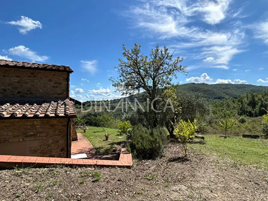 Immagine 14 di Rustico / casale in vendita  a Pomarance