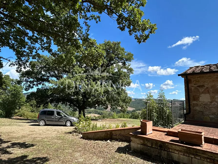 Immagine 15 di Rustico / casale in vendita  a Pomarance