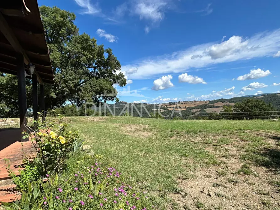 Immagine 17 di Rustico / casale in vendita  a Pomarance