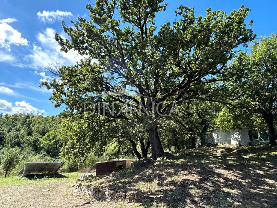 Immagine 18 di Rustico / casale in vendita  a Pomarance