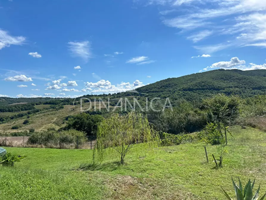 Immagine 23 di Rustico / casale in vendita  a Pomarance