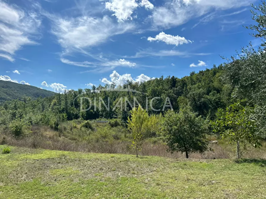 Immagine 24 di Rustico / casale in vendita  a Pomarance