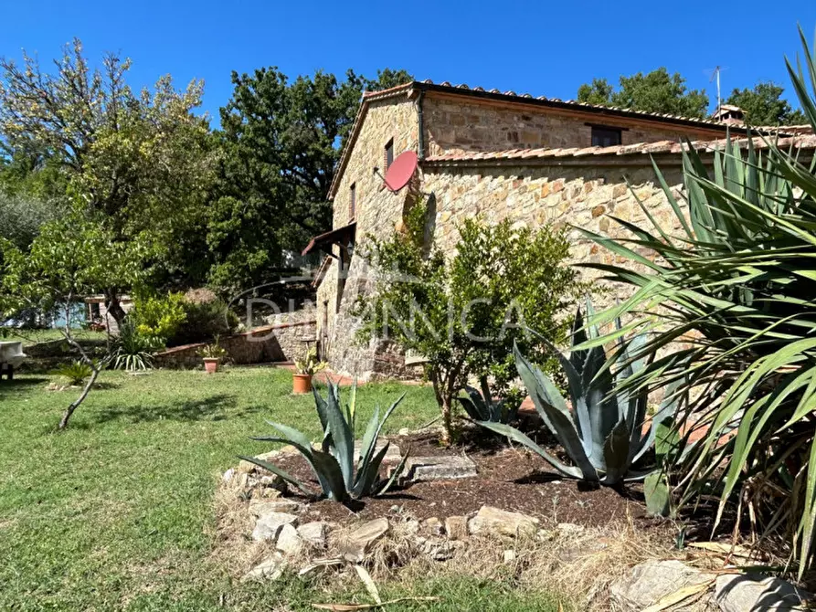 Immagine 25 di Rustico / casale in vendita  a Pomarance