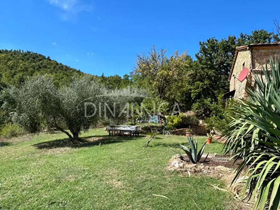 Immagine 26 di Rustico / casale in vendita  a Pomarance