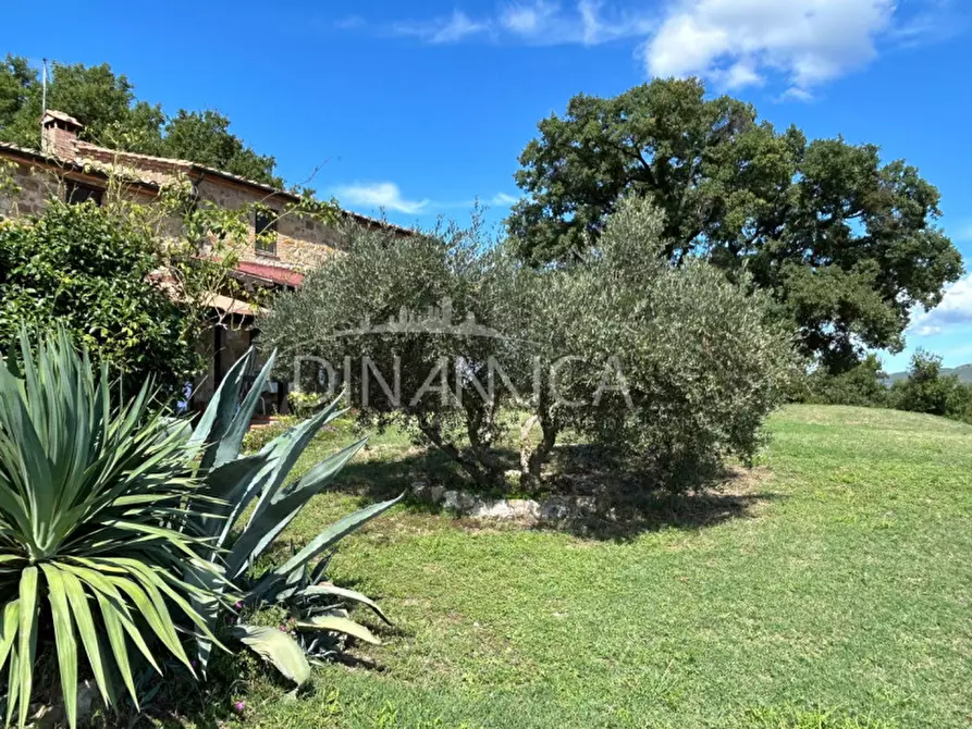 Immagine 27 di Rustico / casale in vendita  a Pomarance