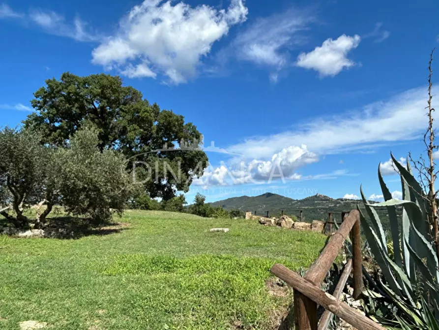 Immagine 29 di Rustico / casale in vendita  a Pomarance