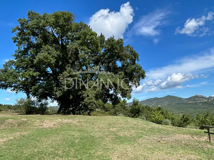 Immagine 54 di Rustico / casale in vendita  a Pomarance