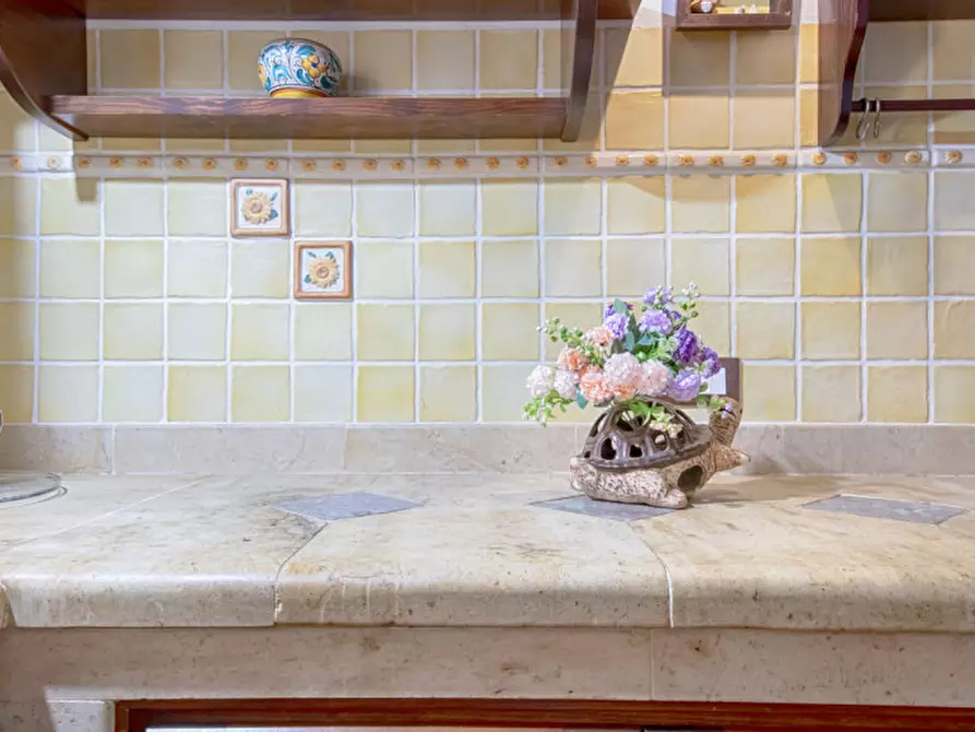 Immagine 14 di Villa in vendita  in Viale Gallura a Loiri Porto San Paolo