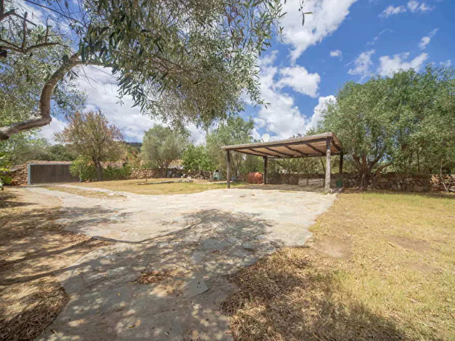 Immagine 53 di Villa in vendita  in Viale Gallura a Loiri Porto San Paolo