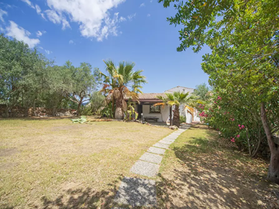 Immagine 55 di Villa in vendita  in Viale Gallura a Loiri Porto San Paolo