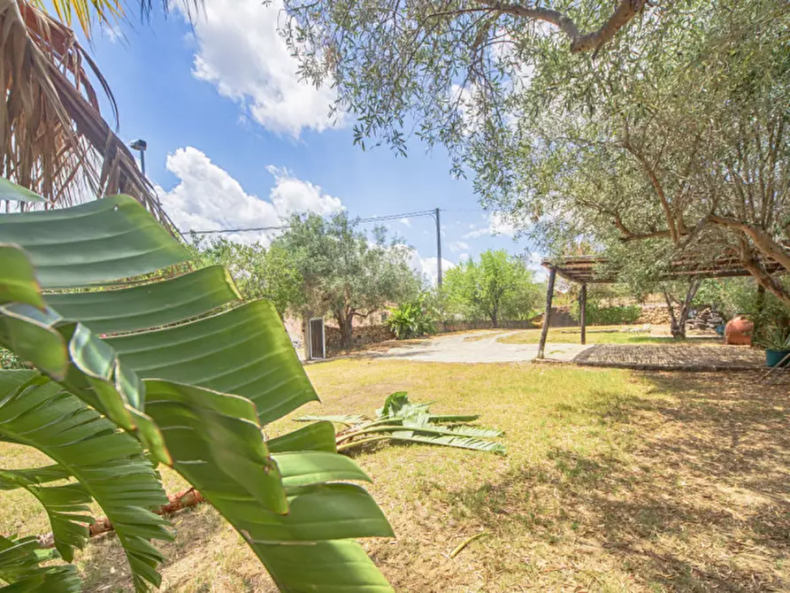 Immagine 56 di Villa in vendita  in Viale Gallura a Loiri Porto San Paolo