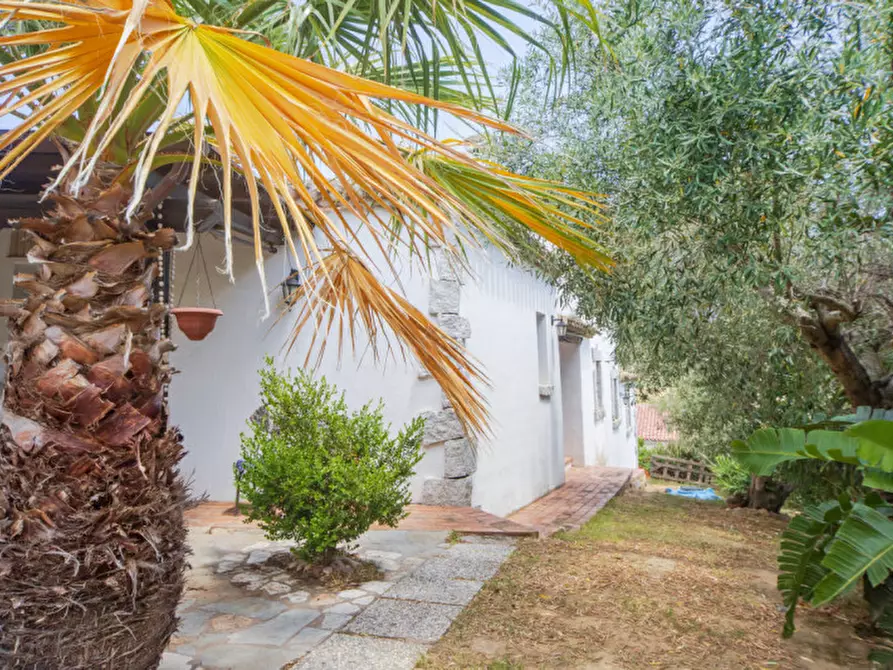 Immagine 58 di Villa in vendita  in Viale Gallura a Loiri Porto San Paolo