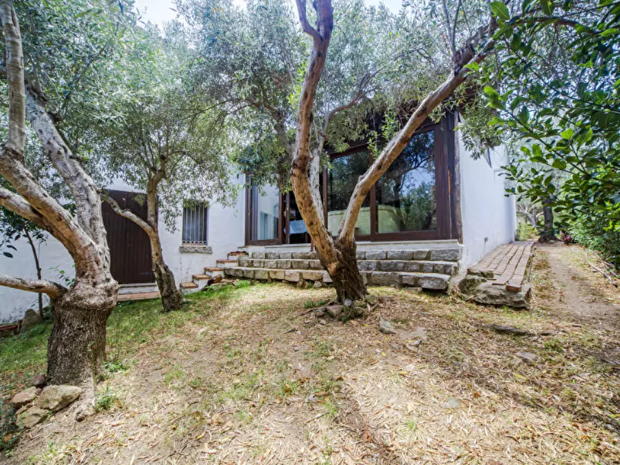 Immagine 59 di Villa in vendita  in Viale Gallura a Loiri Porto San Paolo