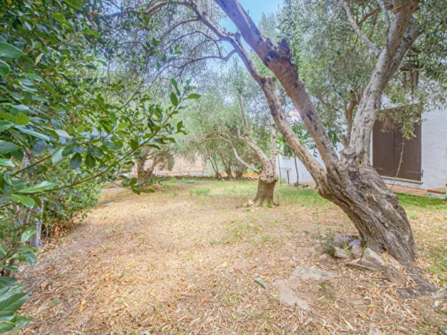 Immagine 62 di Villa in vendita  in Viale Gallura a Loiri Porto San Paolo