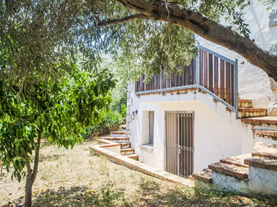 Immagine 63 di Villa in vendita  in Viale Gallura a Loiri Porto San Paolo