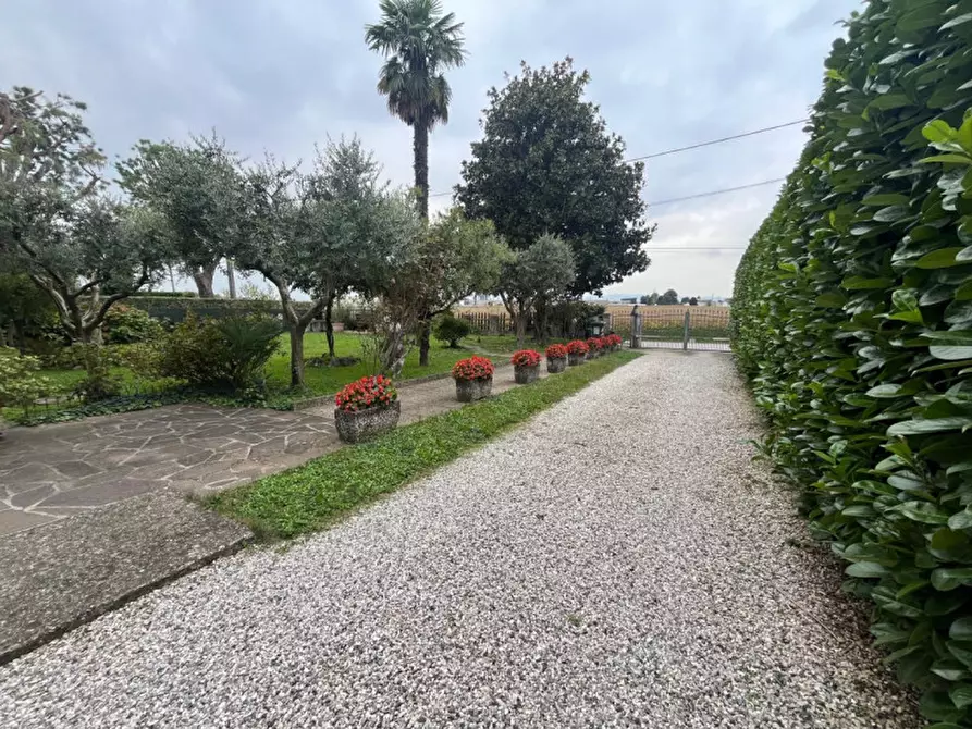 Immagine 3 di Casa bifamiliare in vendita  in Via San Mrtino a Veggiano