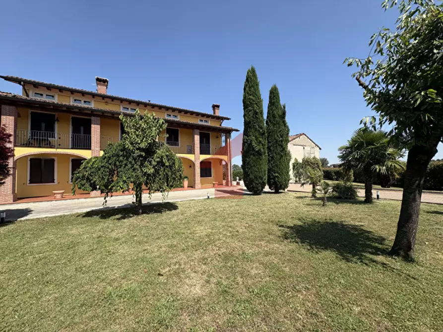 Immagine 3 di Casa bifamiliare in vendita  in Via Crocetta 6 a Polesine Zibello