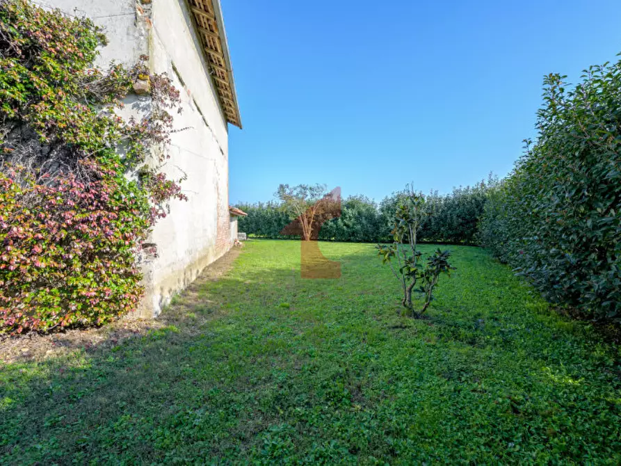 Immagine 17 di Casa bifamiliare in vendita  in Via Crocetta 6 a Polesine Zibello