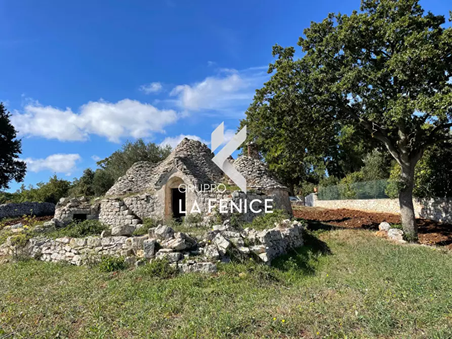 Immagine 5 di Rustico / casale in vendita  in Contrada Serralta a Locorotondo