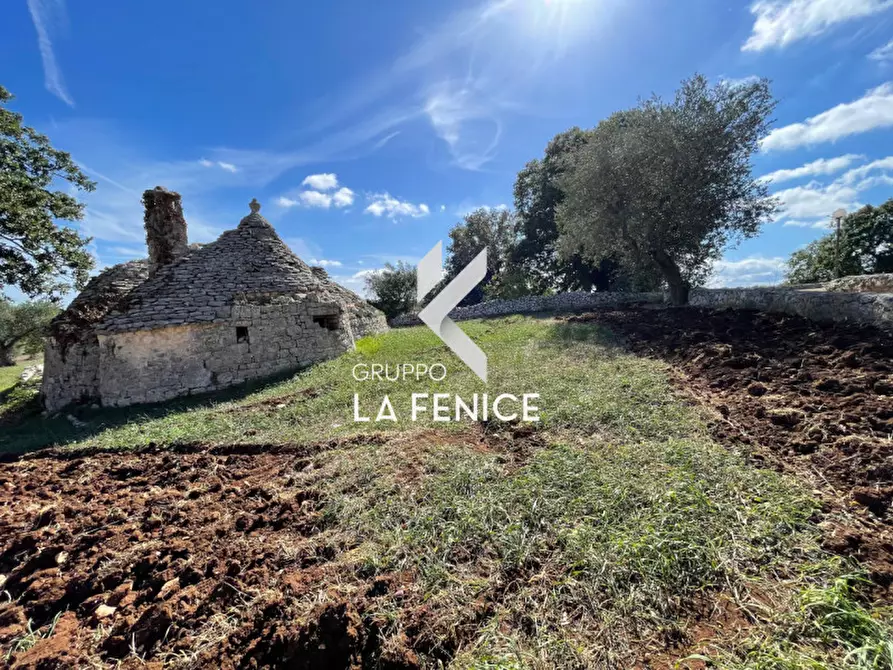 Immagine 13 di Rustico / casale in vendita  in Contrada Serralta a Locorotondo