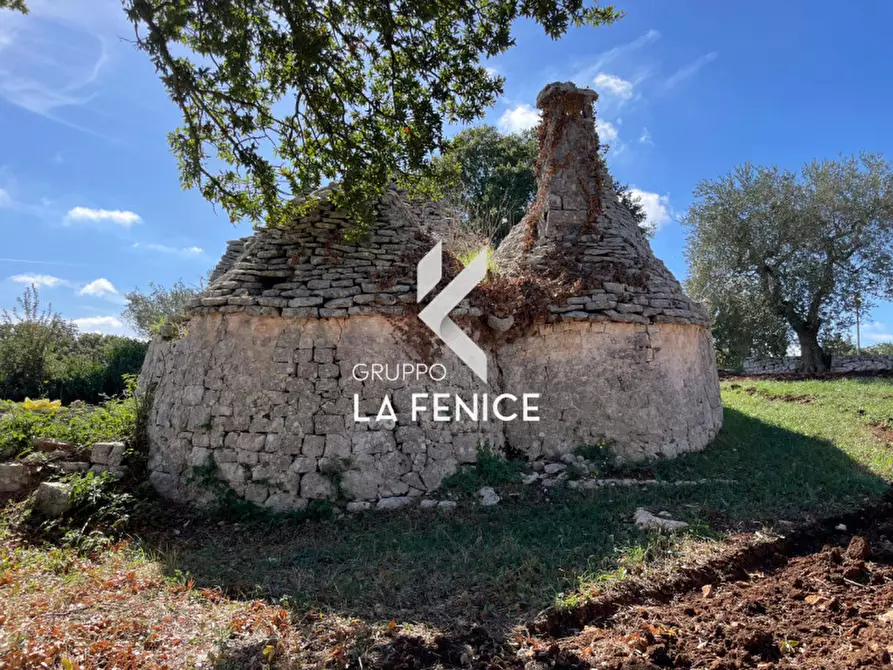 Immagine 19 di Rustico / casale in vendita  in Contrada Serralta a Locorotondo