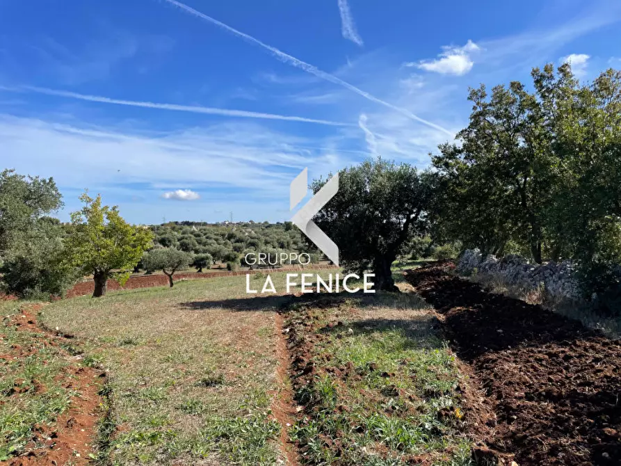 Immagine 38 di Rustico / casale in vendita  in Contrada Serralta a Locorotondo