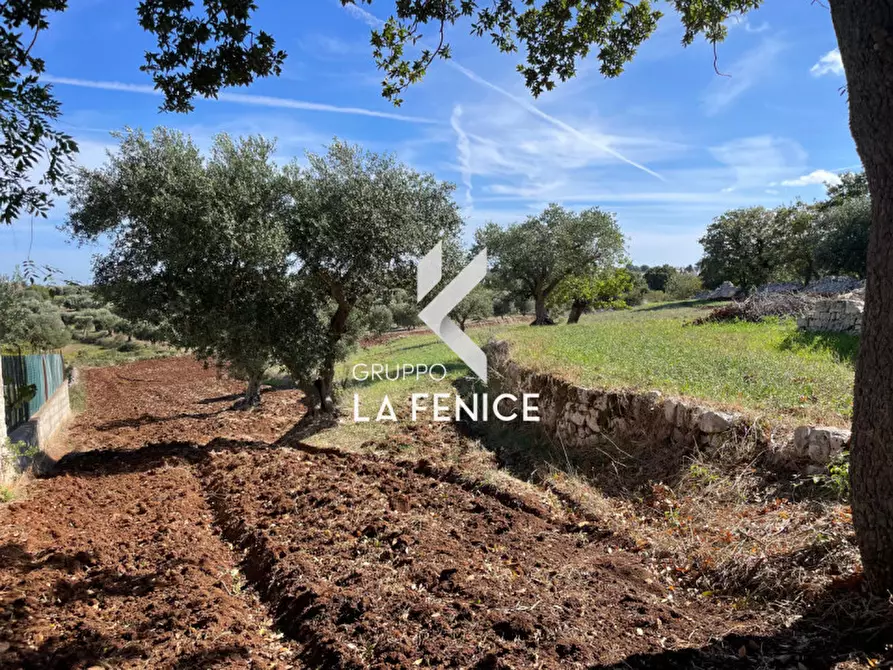 Immagine 40 di Rustico / casale in vendita  in Contrada Serralta a Locorotondo