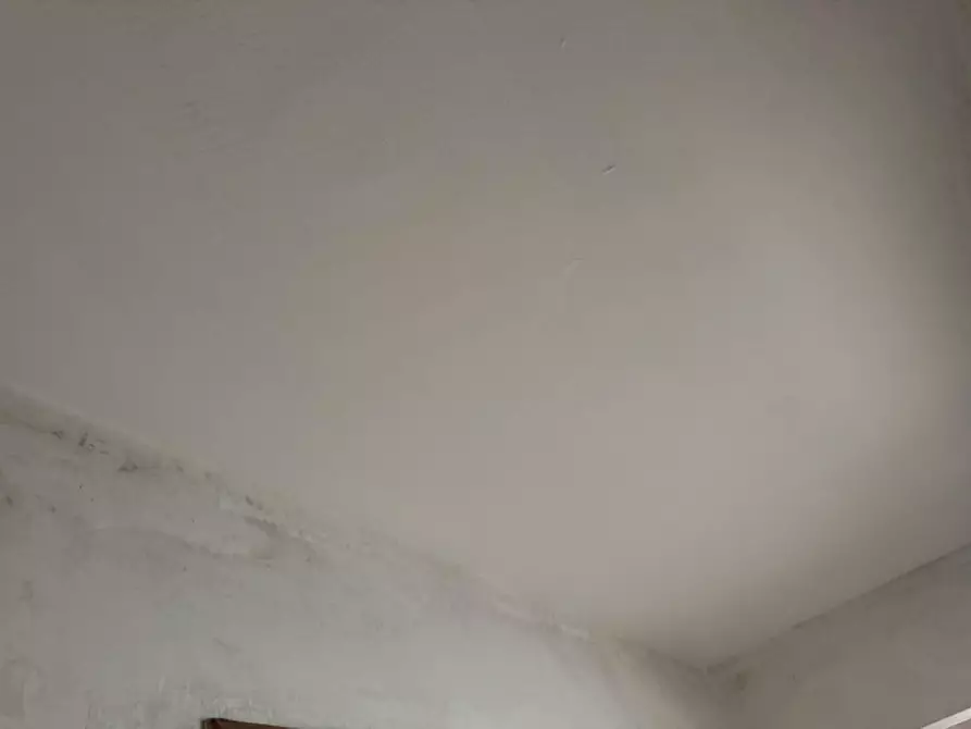 Immagine 39 di Casa indipendente in vendita  in Via Dei Mille 172 - 174 a Parabita