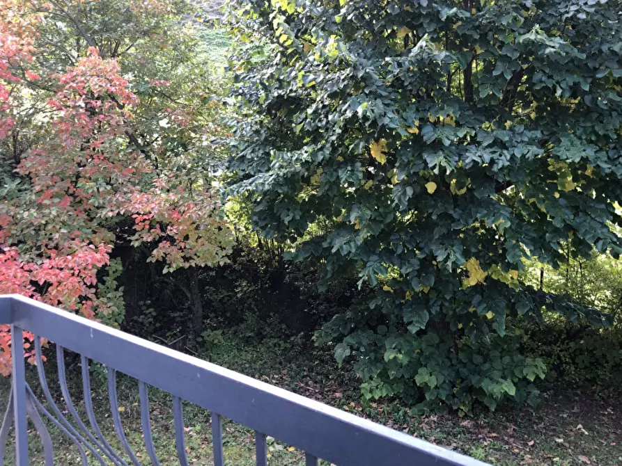 Immagine 27 di Villa in vendita  in via idice 257 a Monterenzio