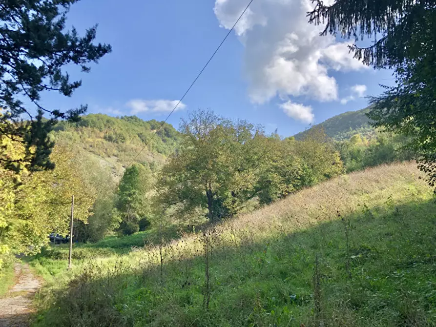 Immagine 30 di Villa in vendita  in via idice 257 a Monterenzio